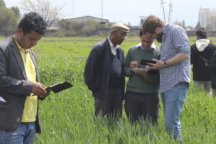 Feed the Future Innovation Lab for Crop Improvement