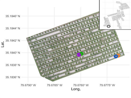 GeoNav: Enhancing field phenotyping with high precision global navigation systems integration in the Field Book mobile application