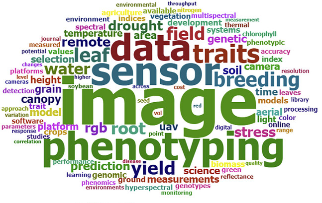 Affordable phenomics: Expanding access to enhancing genetic gain in plant breeding