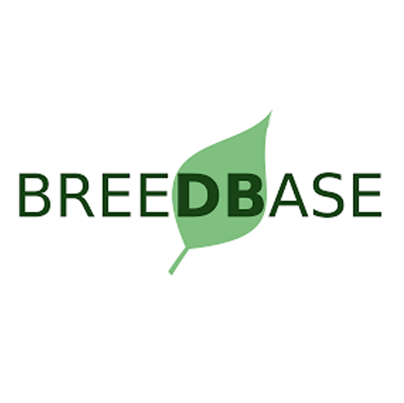 Breedbase: a digital ecosystem for modern plant breeding