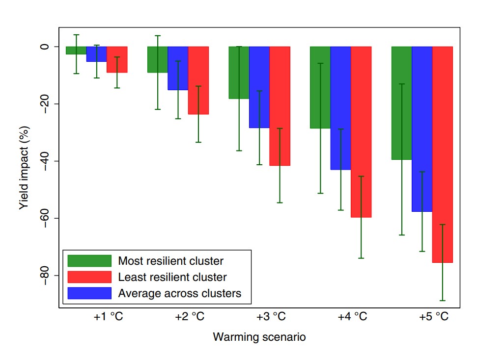 Quantifying variety‐specific heat resistance and the potential for adaptation to climate change